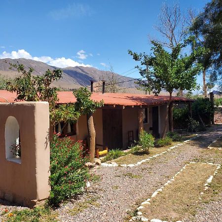 فندق تيلكارافي  Alta Montana Cabanas المظهر الخارجي الصورة