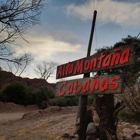فندق تيلكارافي  Alta Montana Cabanas المظهر الخارجي الصورة