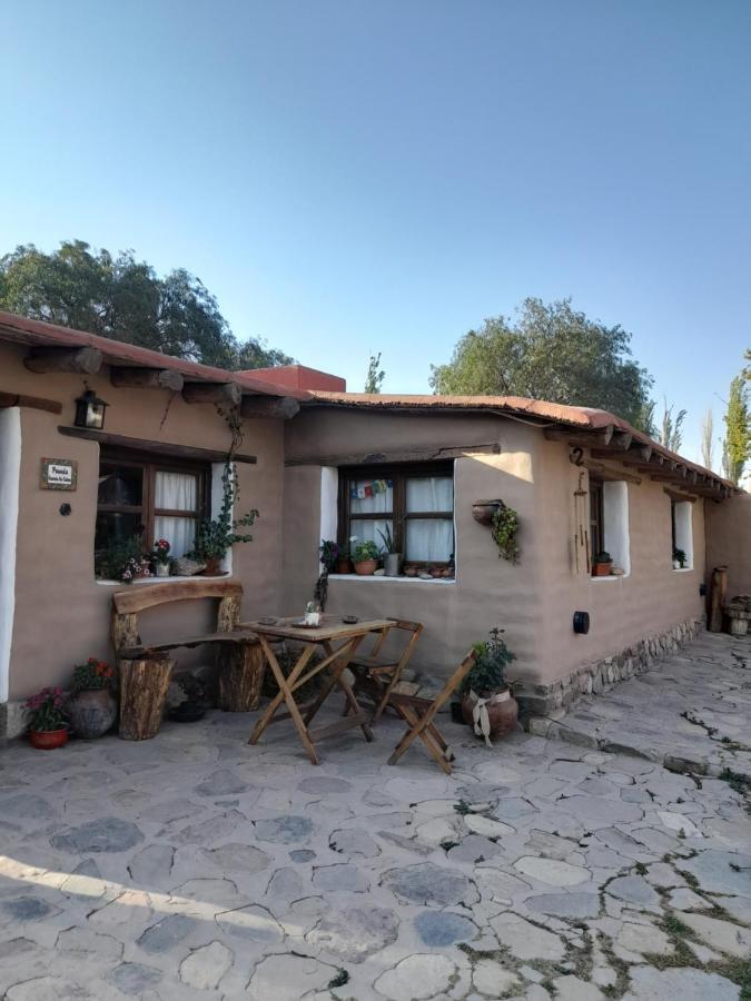 فندق تيلكارافي  Alta Montana Cabanas المظهر الخارجي الصورة