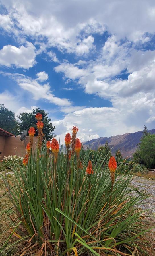 فندق تيلكارافي  Alta Montana Cabanas المظهر الخارجي الصورة