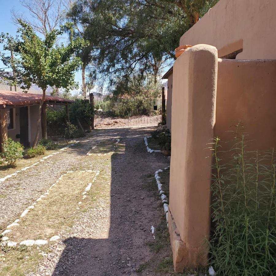 فندق تيلكارافي  Alta Montana Cabanas المظهر الخارجي الصورة