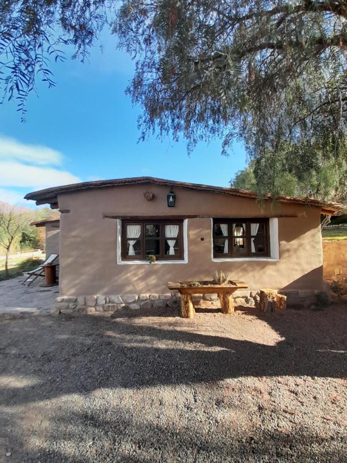 فندق تيلكارافي  Alta Montana Cabanas المظهر الخارجي الصورة